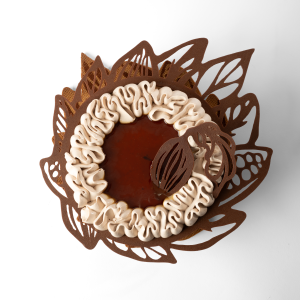 Entremet Forêt du Belize