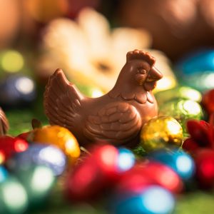 Poule en chocolat Tradi'