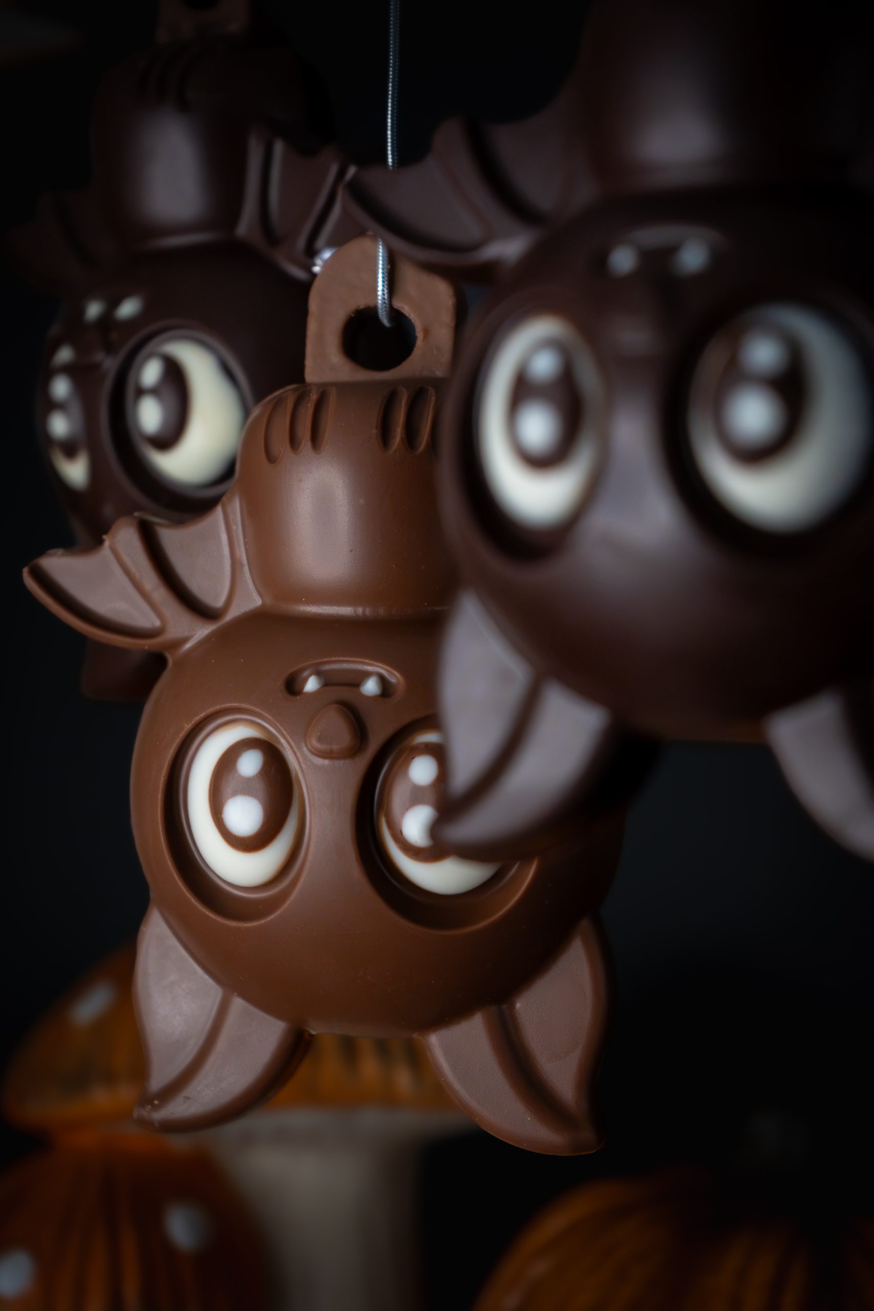 Chauve-souris – Image 3