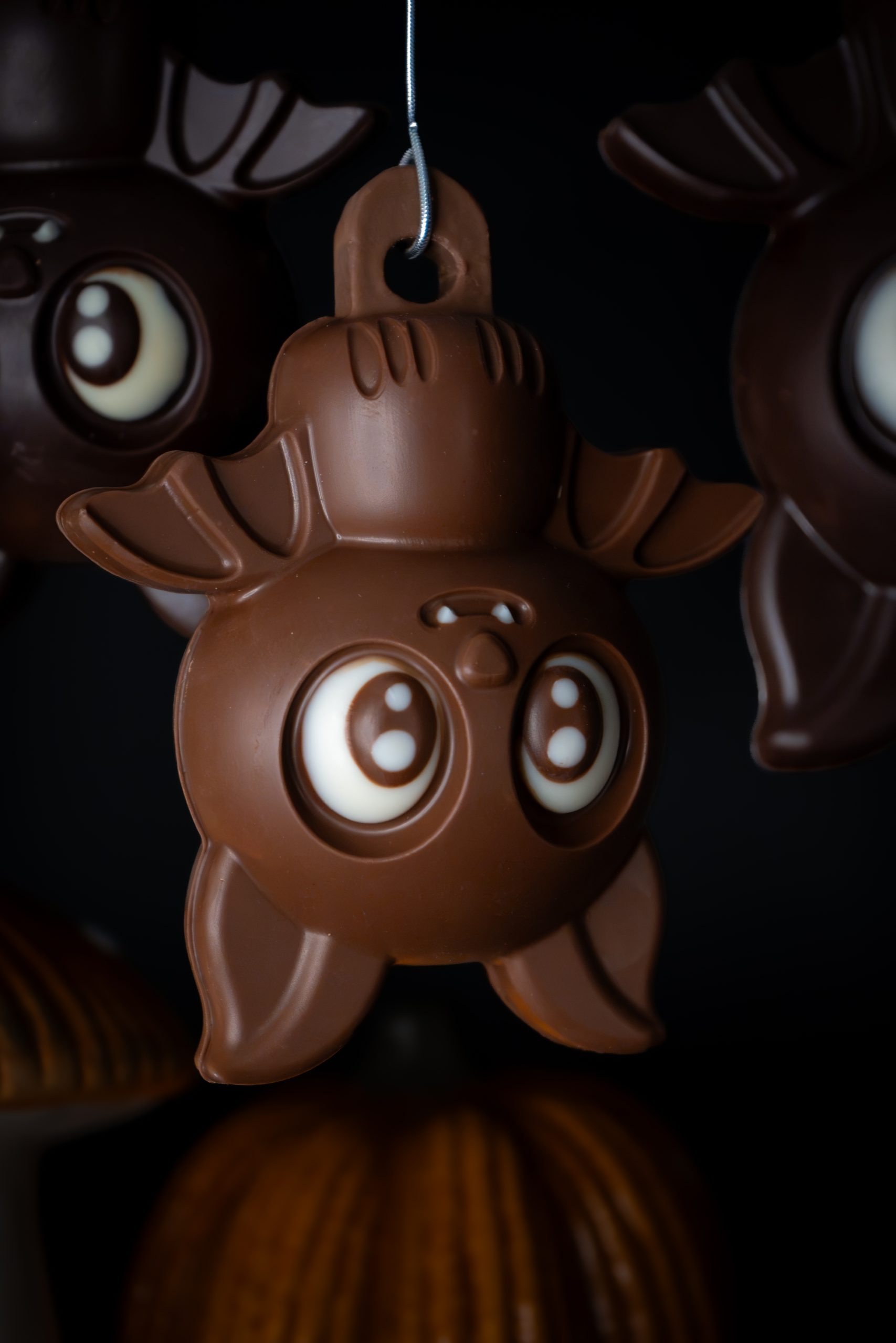 Chauve-souris – Image 2